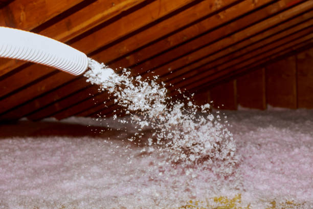 Best Insulation Materials and Products in Eldora, IA