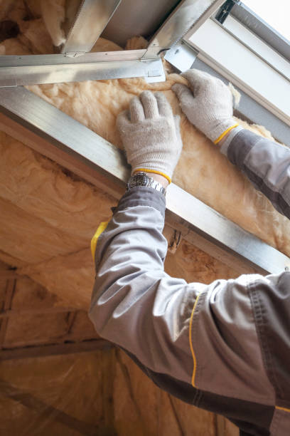 Best Commercial Insulation in Eldora, IA
