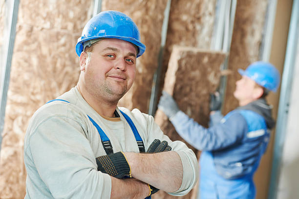 Best Insulation Maintenance and Repair in Eldora, IA